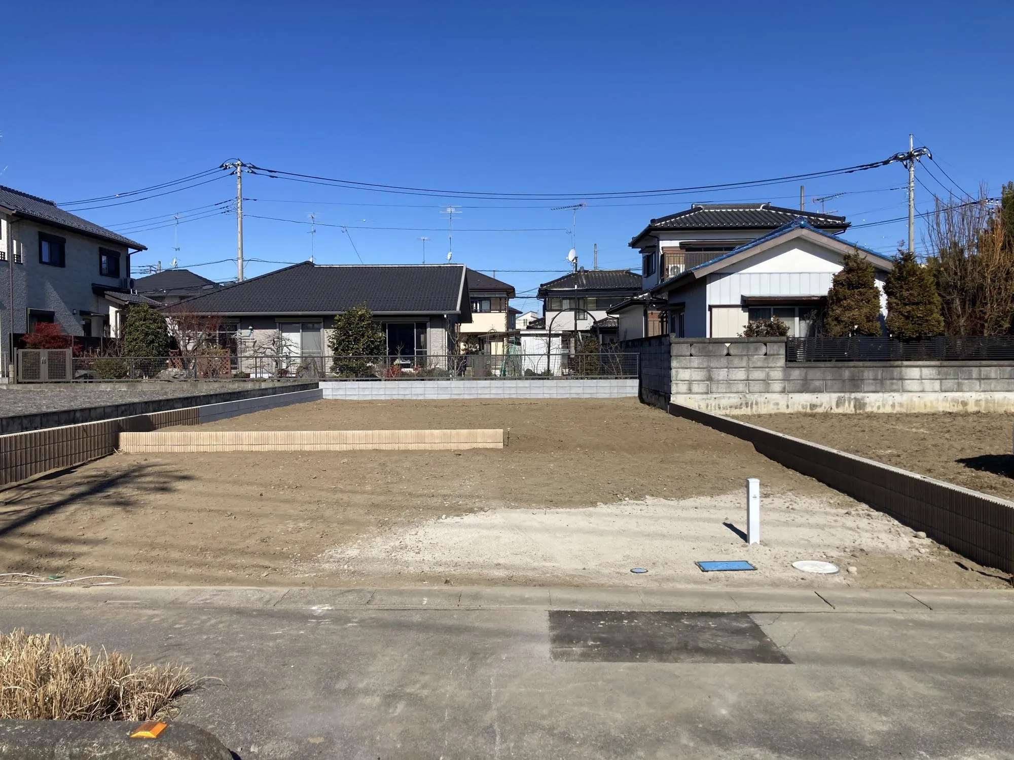 現地写真　2月撮影