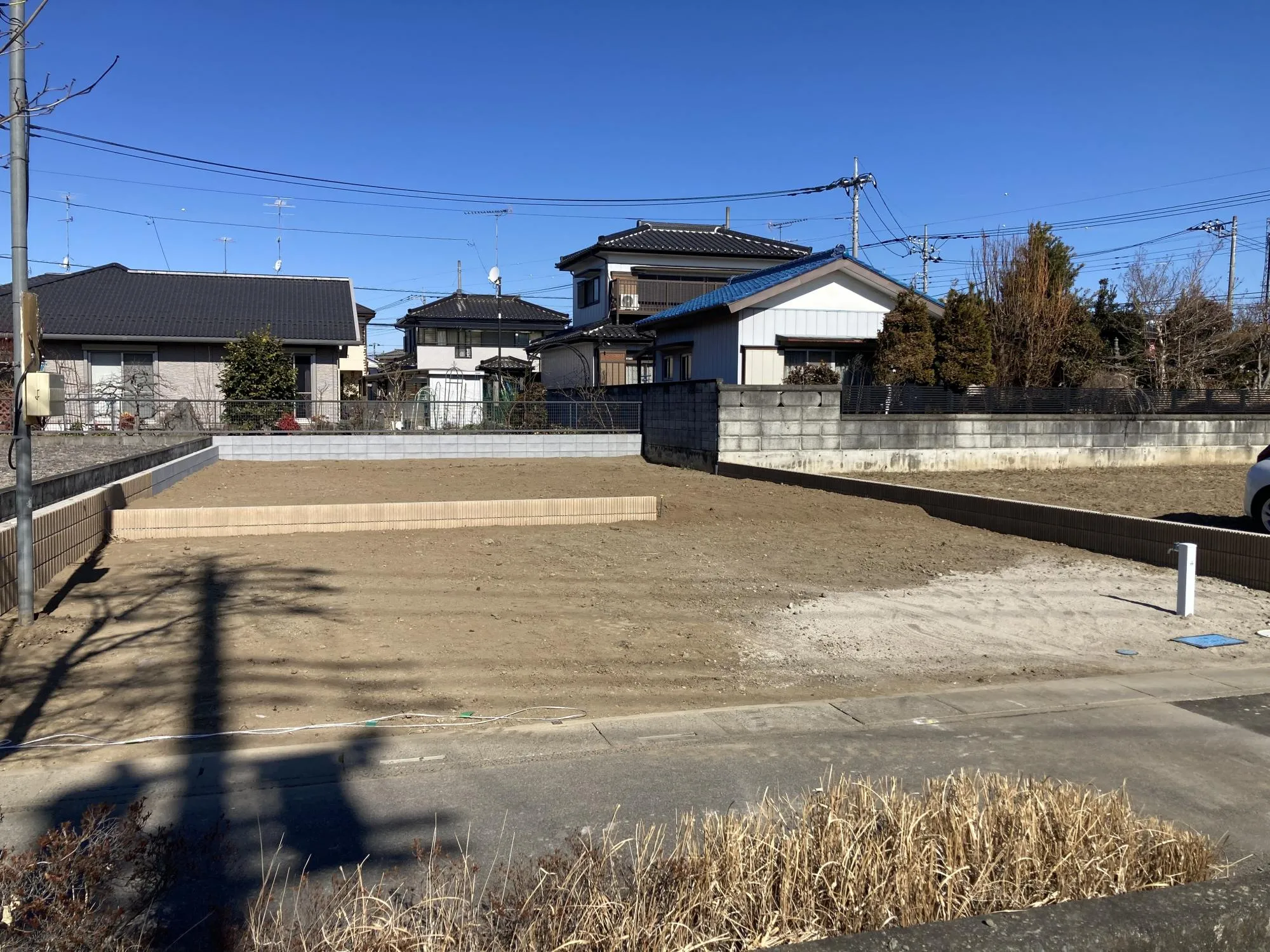 現地写真　2月撮影