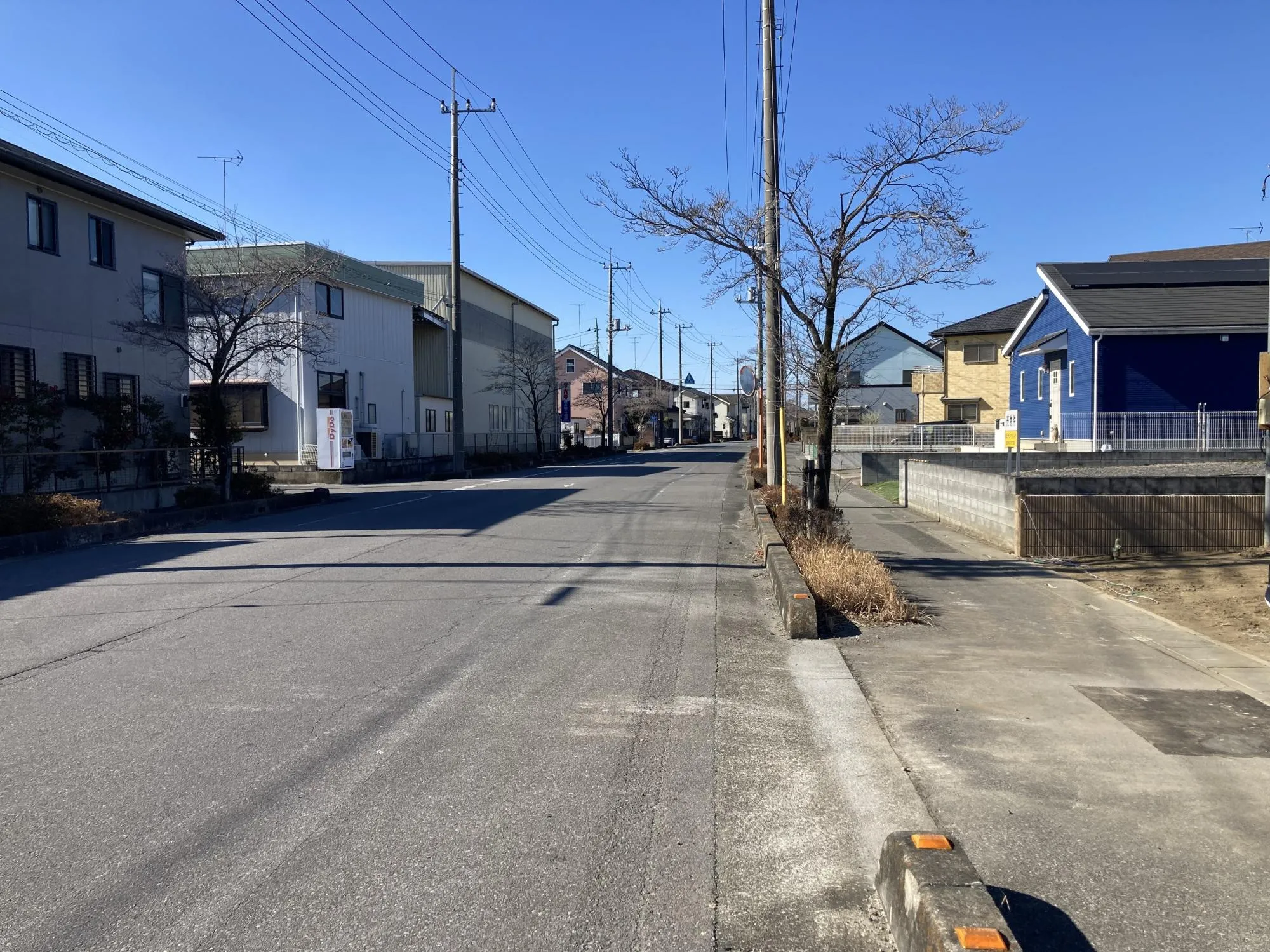 現地写真　2月撮影