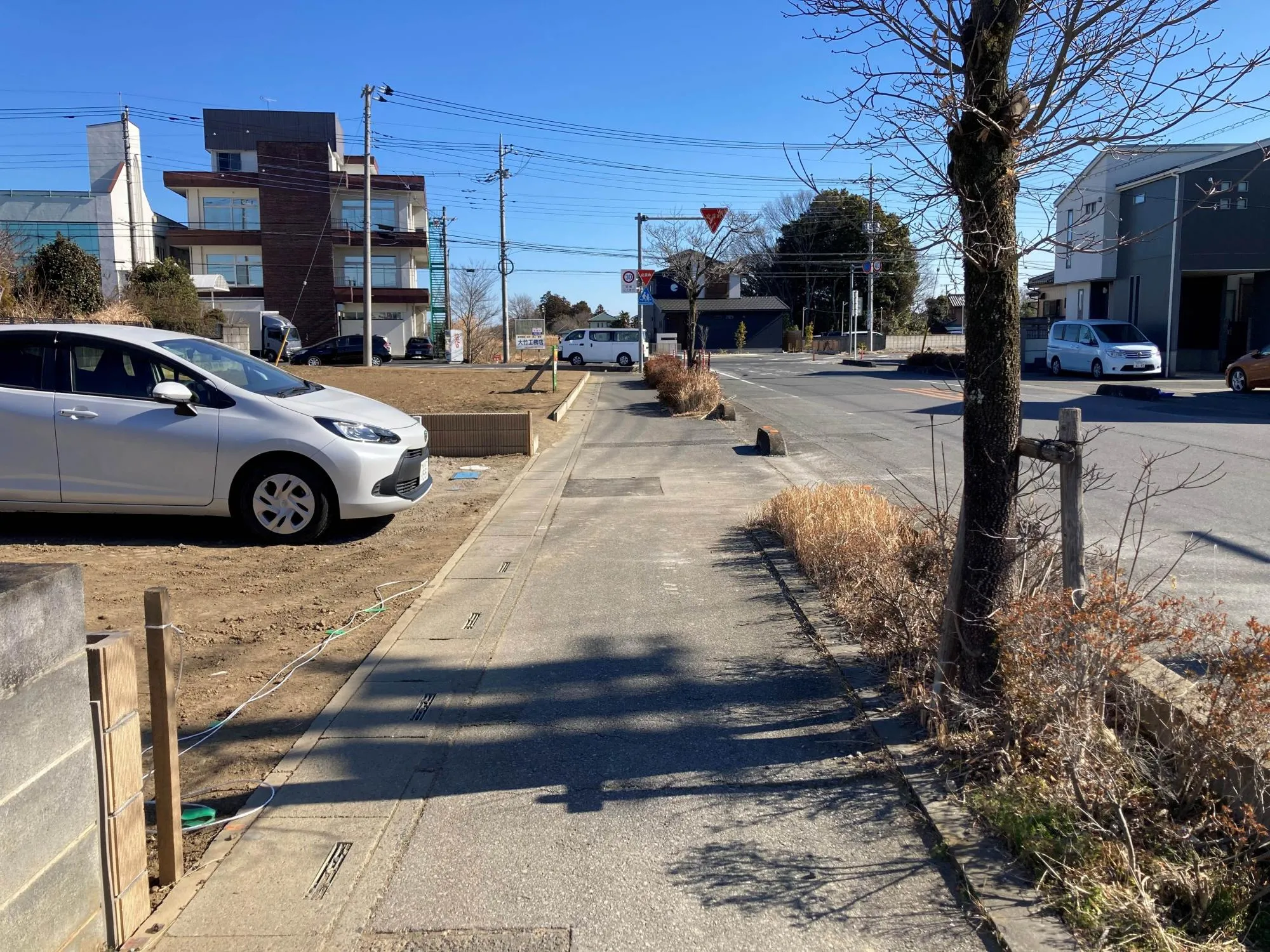 現地写真　2月撮影