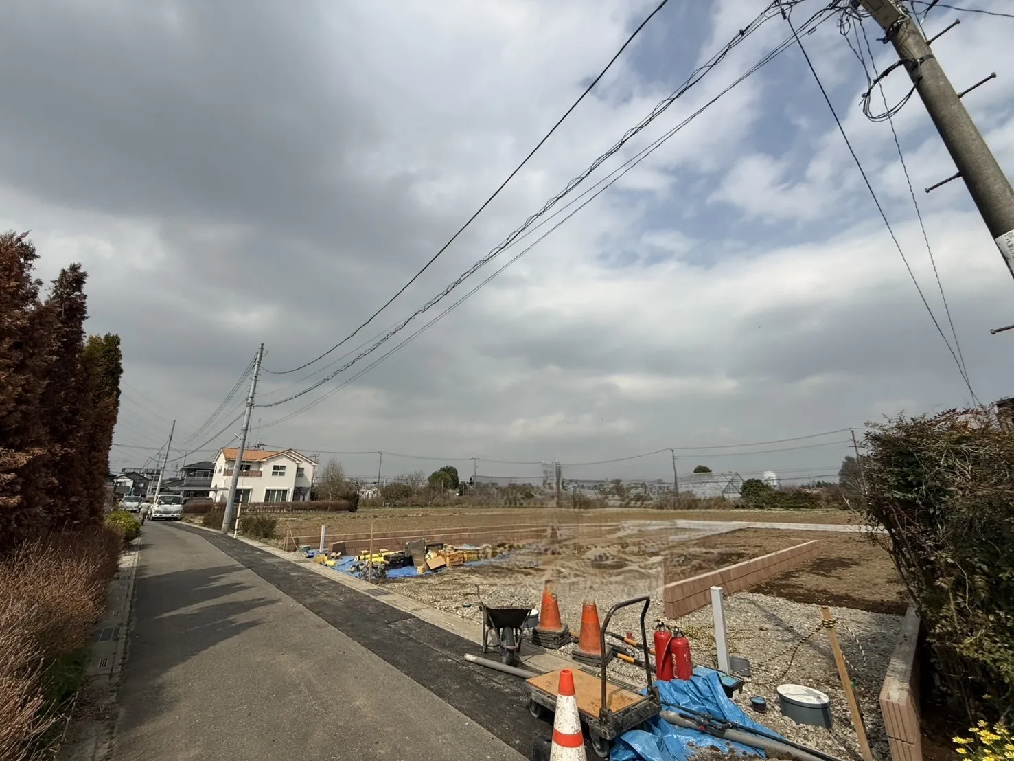 現地写真(2026.3月撮影)