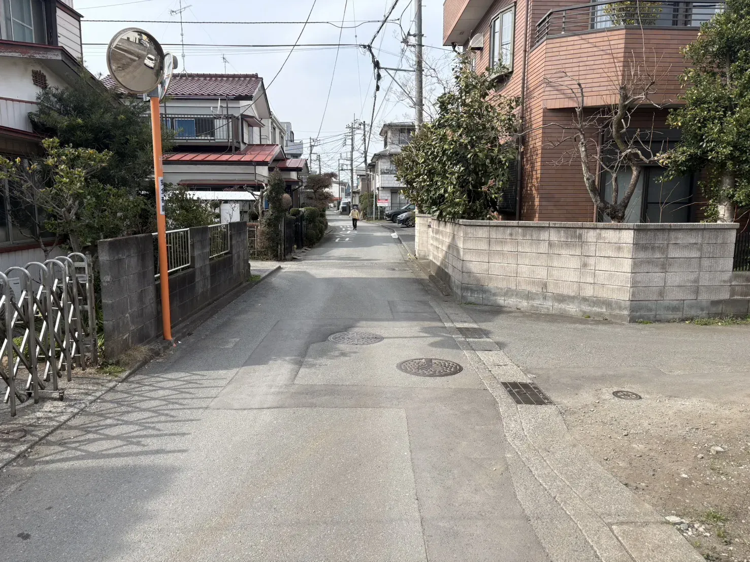 現地写真(2026.3)