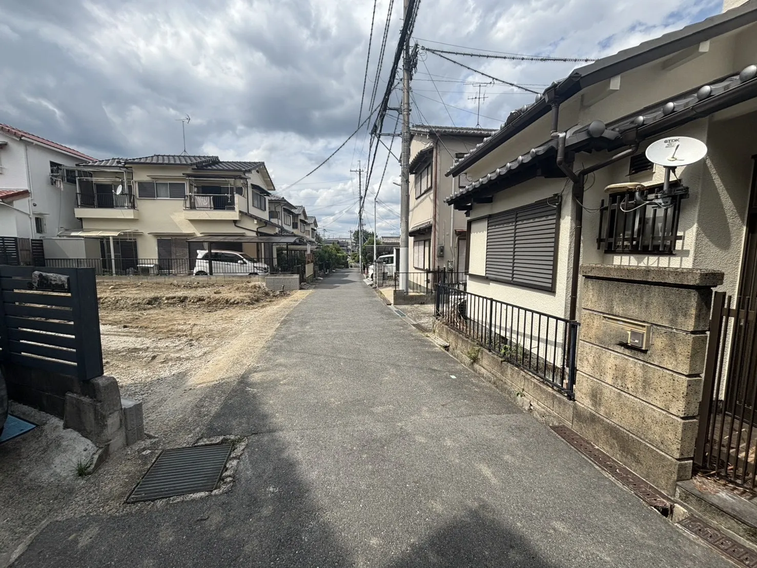 2026年6月撮影
