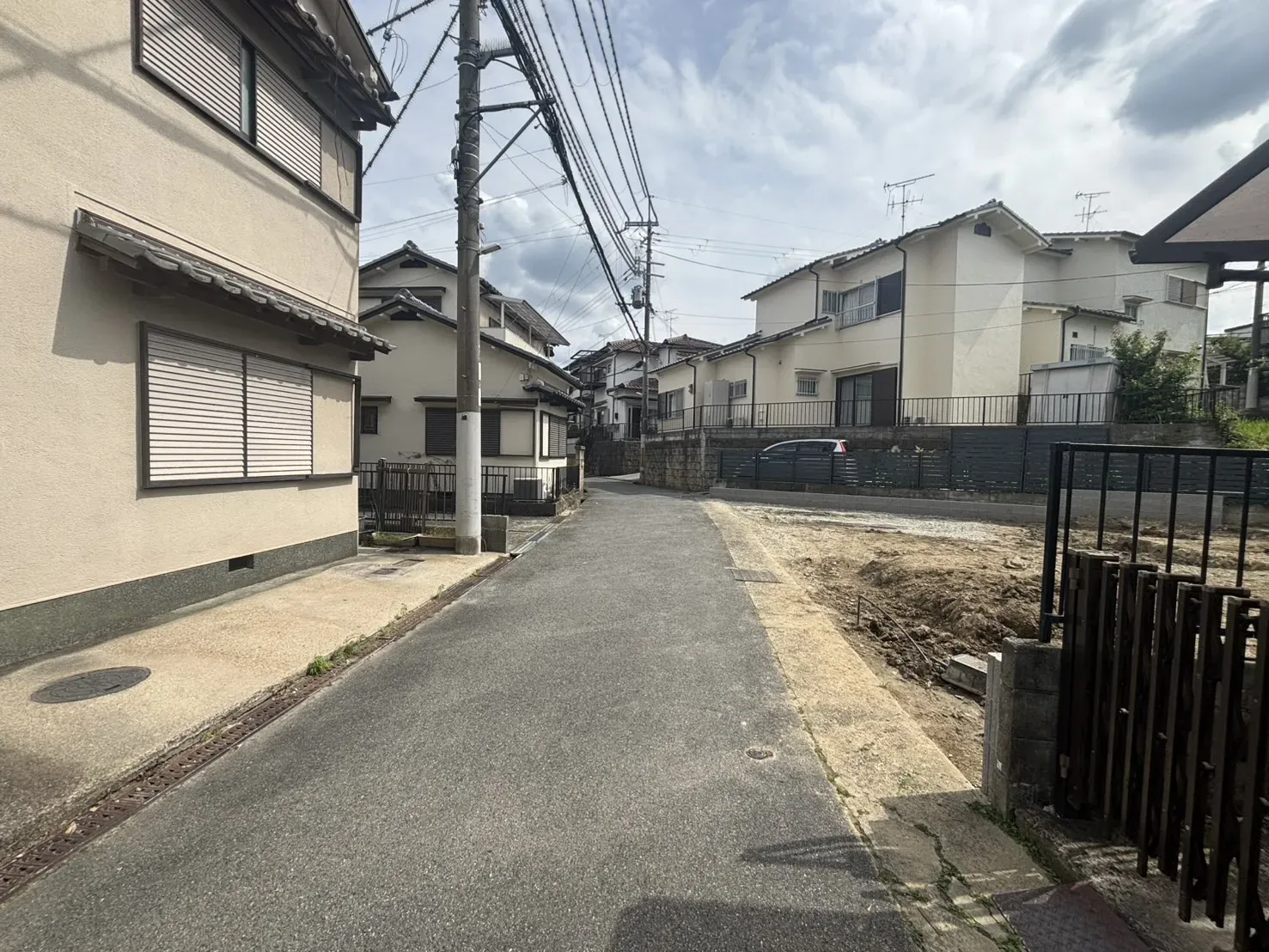 2026年6月撮影