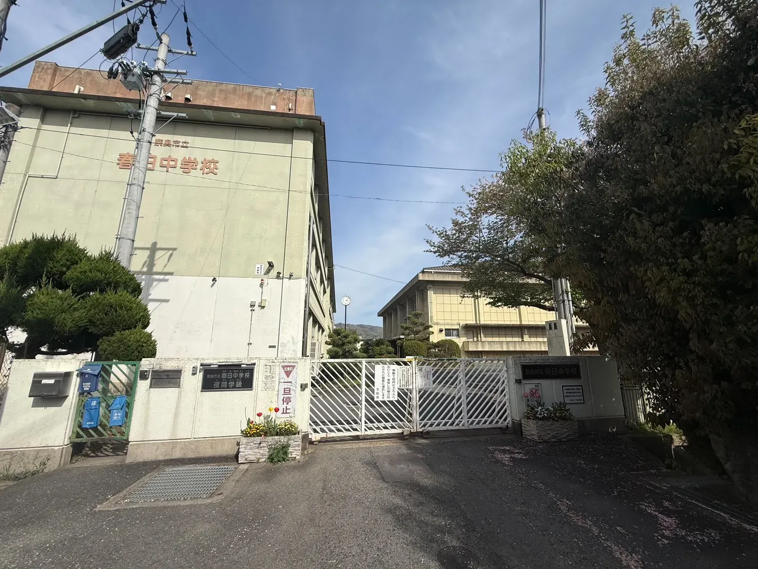 春日中学校
