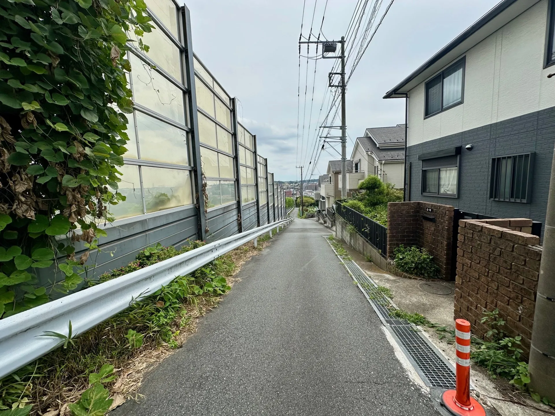 【現地写真】