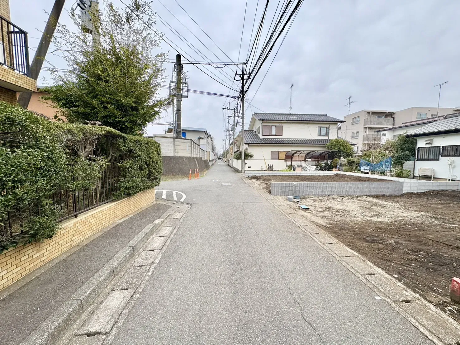 現地写真(2026/3)