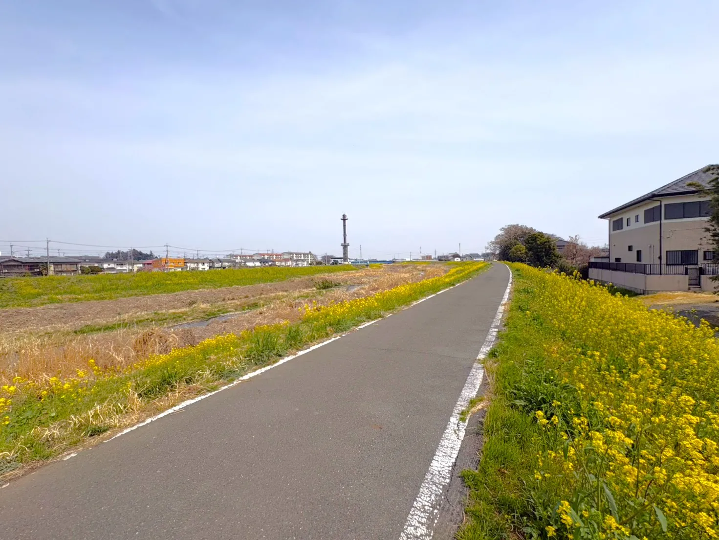 ◇現地横にランニングやお散歩にぴったりな土手あり♪
