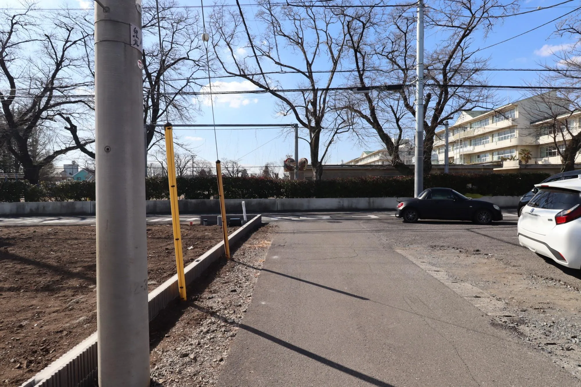 北側 前面道路(私道)