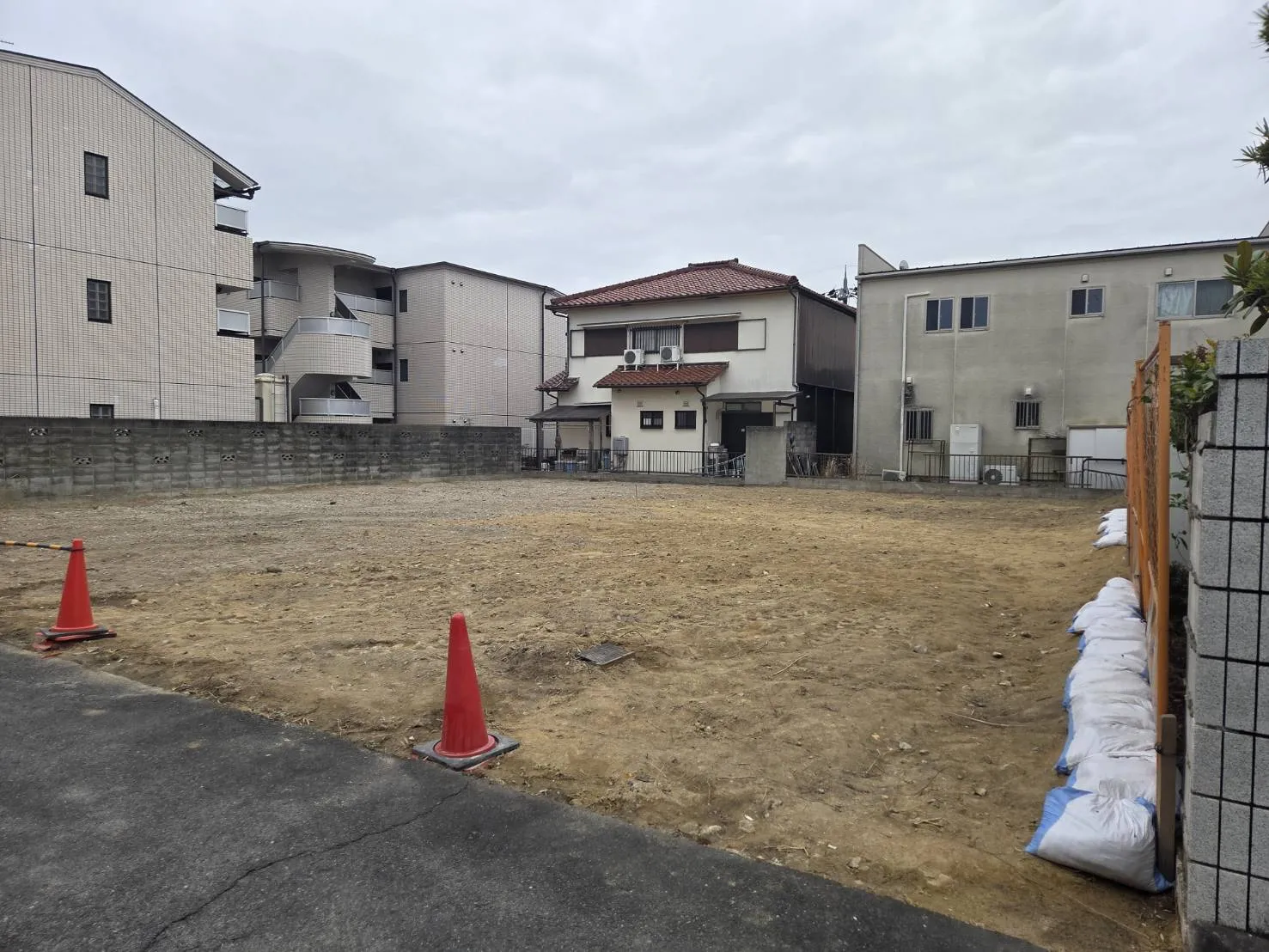 2026年1月下旬現地撮影