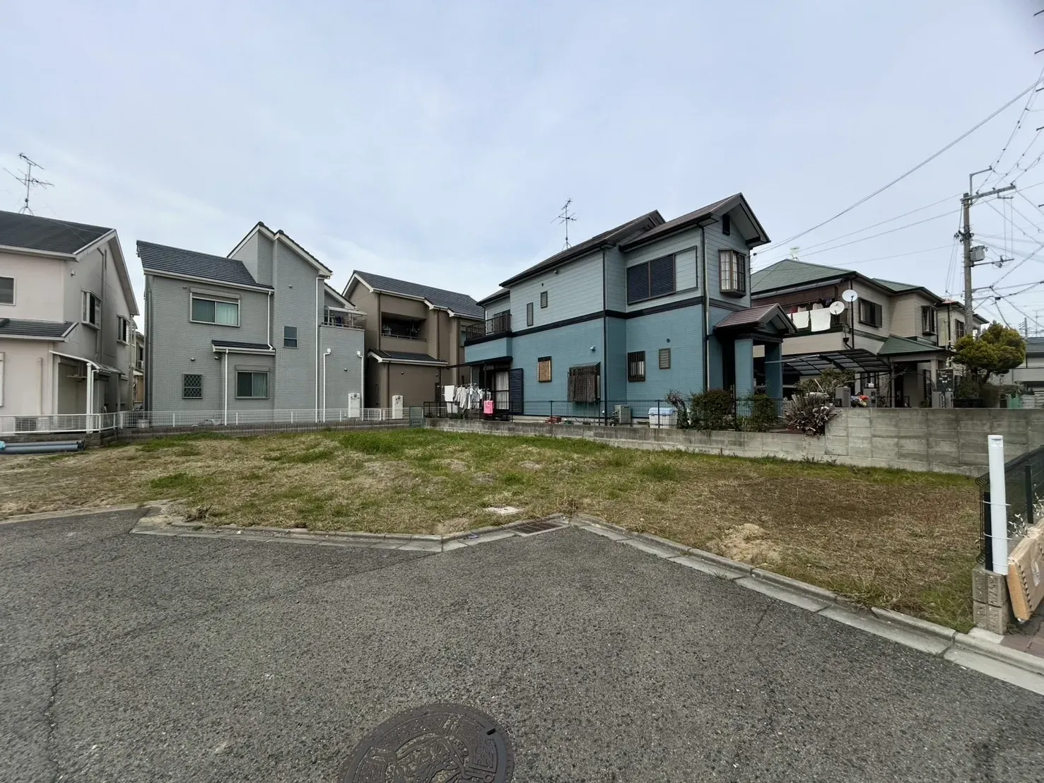 2026年3月上旬現地撮影