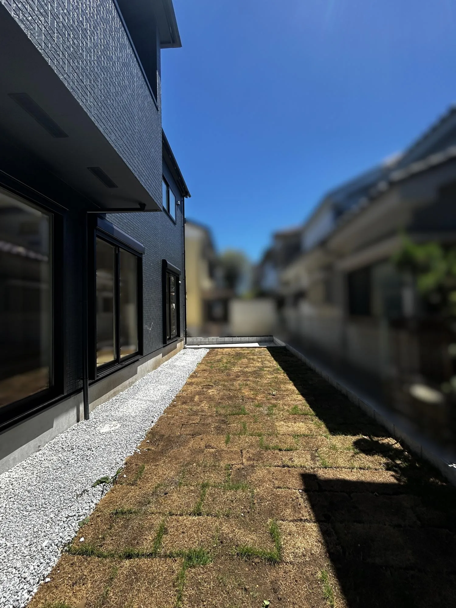庭