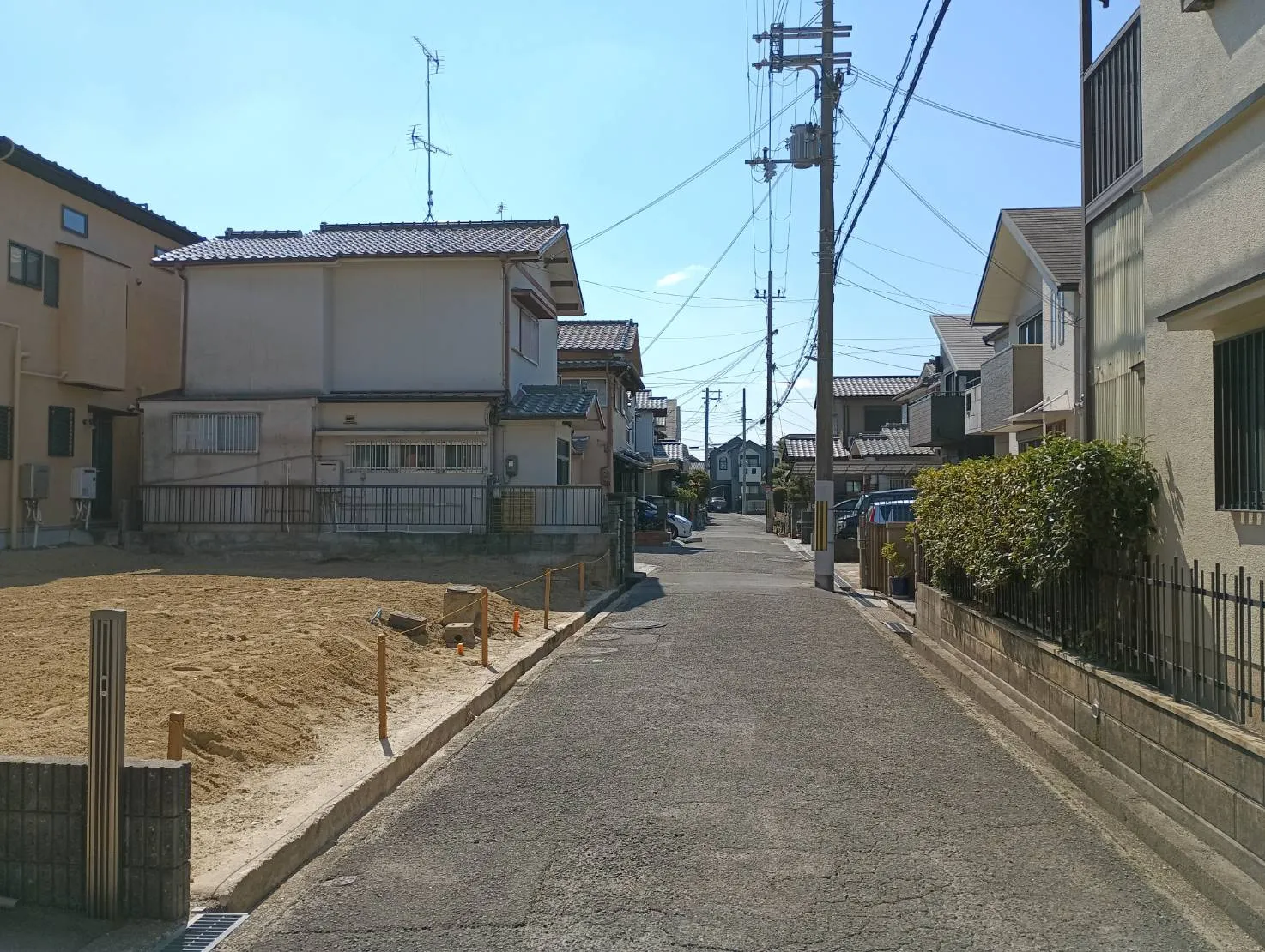 2026年3月中旬現地撮影