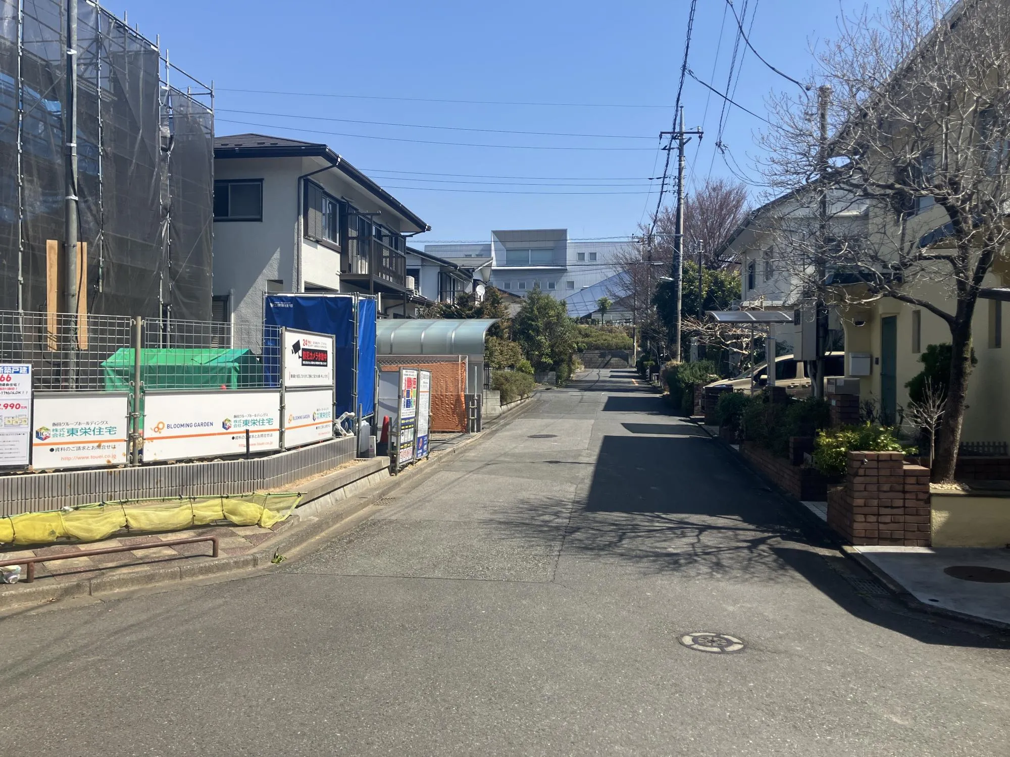 現地写真　3月撮影