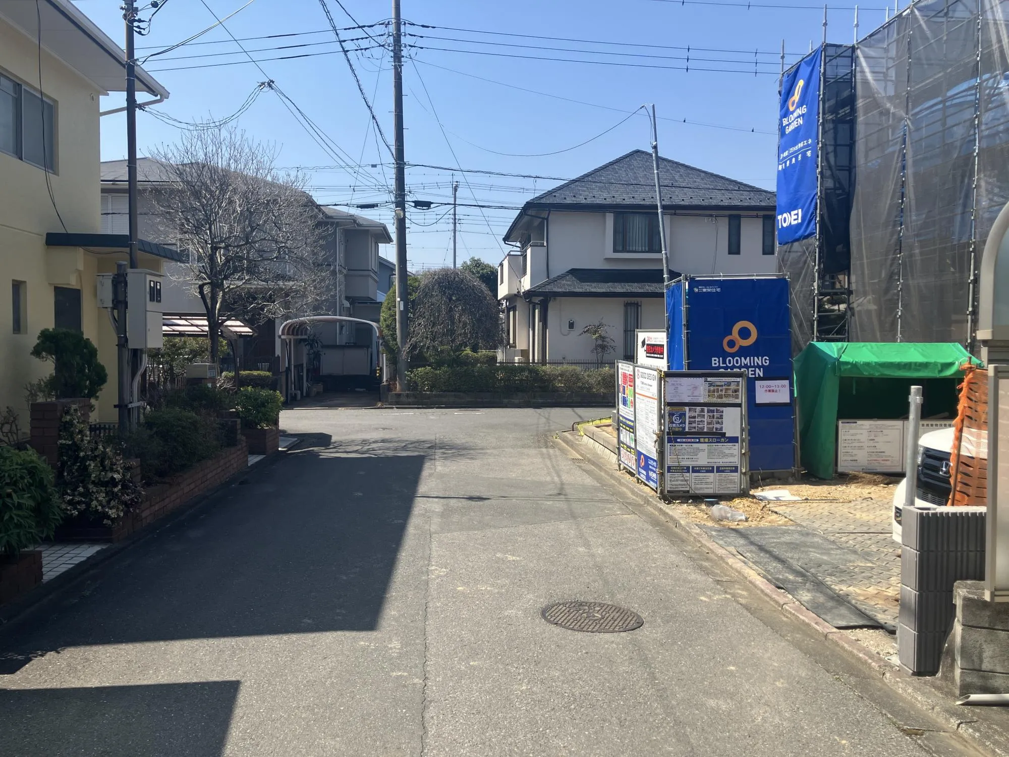 現地写真　3月撮影