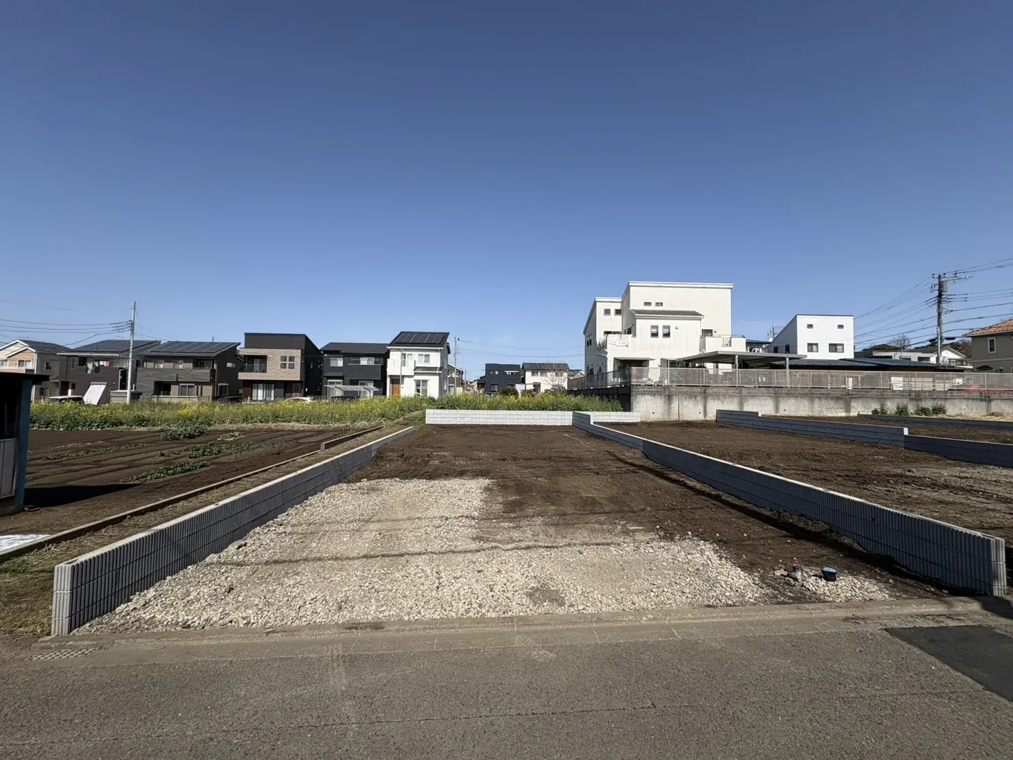 現地写真(2026/3)