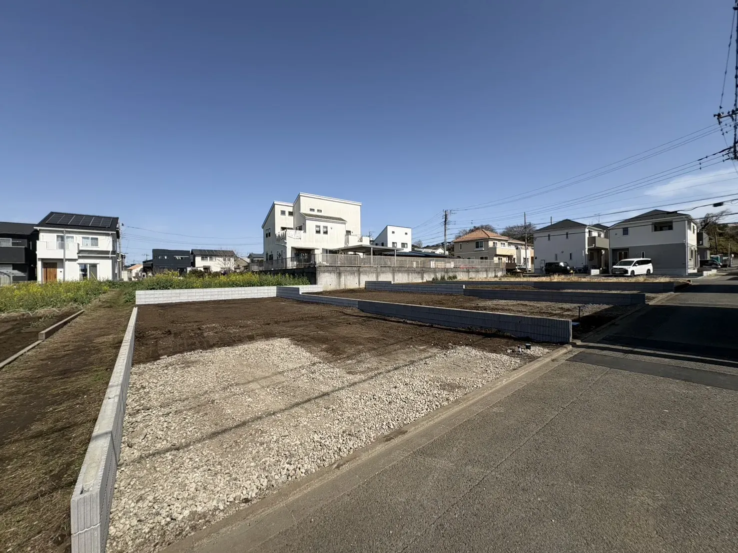 現地写真(2026/3)