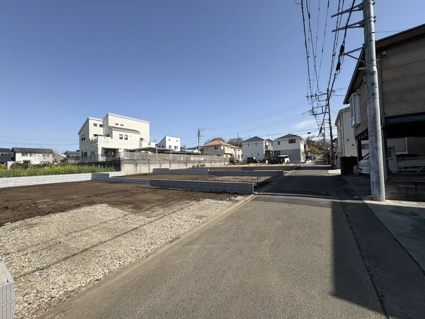 現地写真(2026/3)