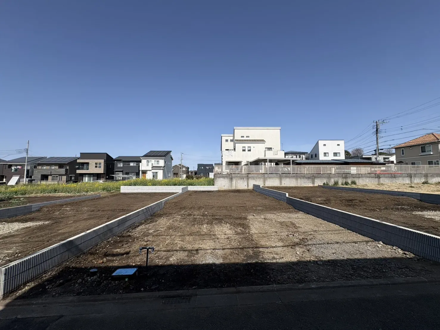 現地写真(2026/3)