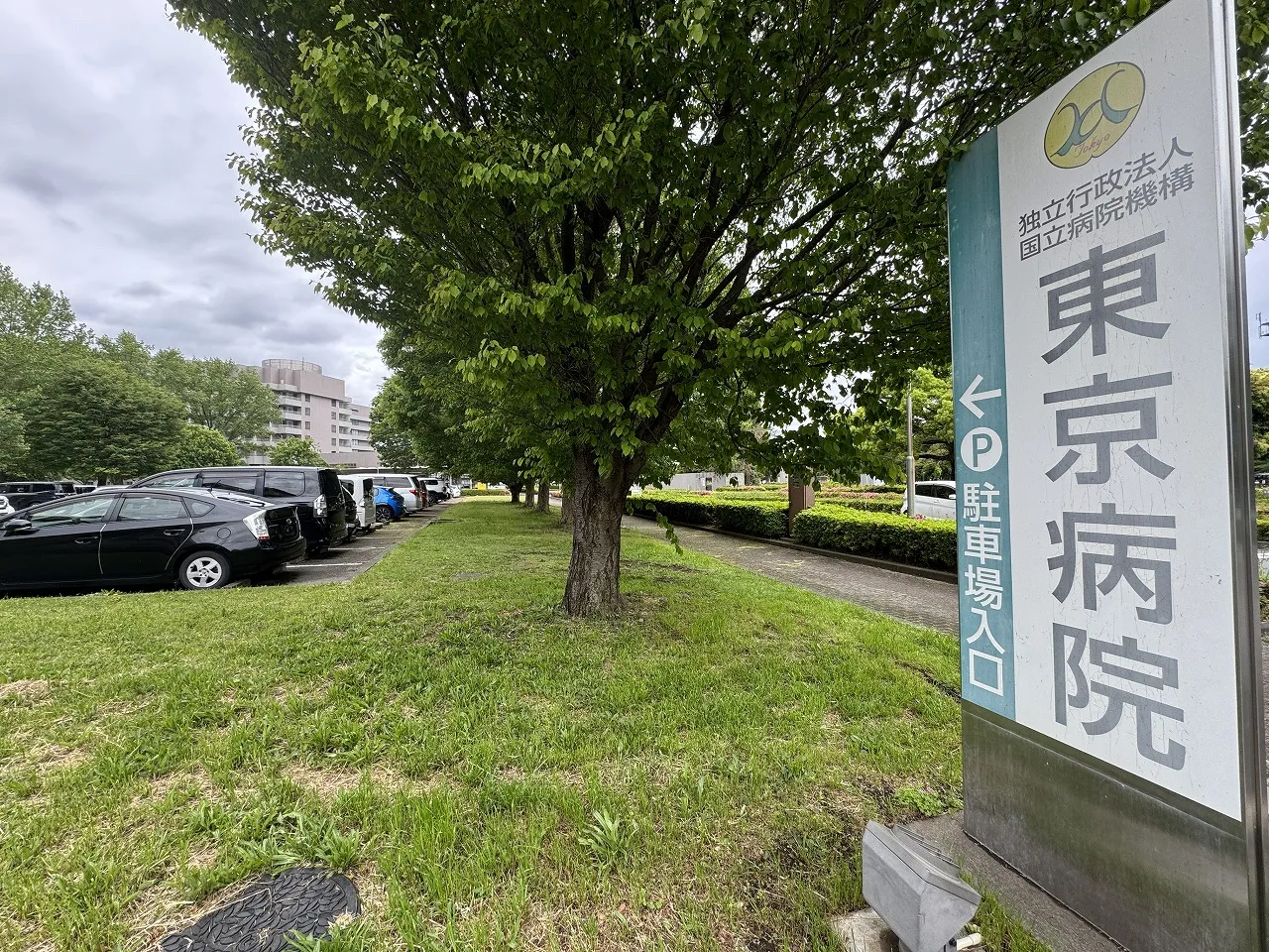 独立行政法人国立病院機構東京病院