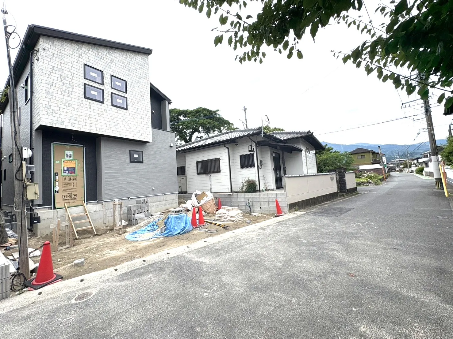 現地写真 2026年6月撮影