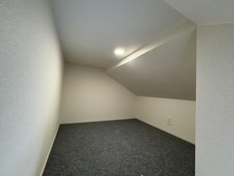 小屋裏収納