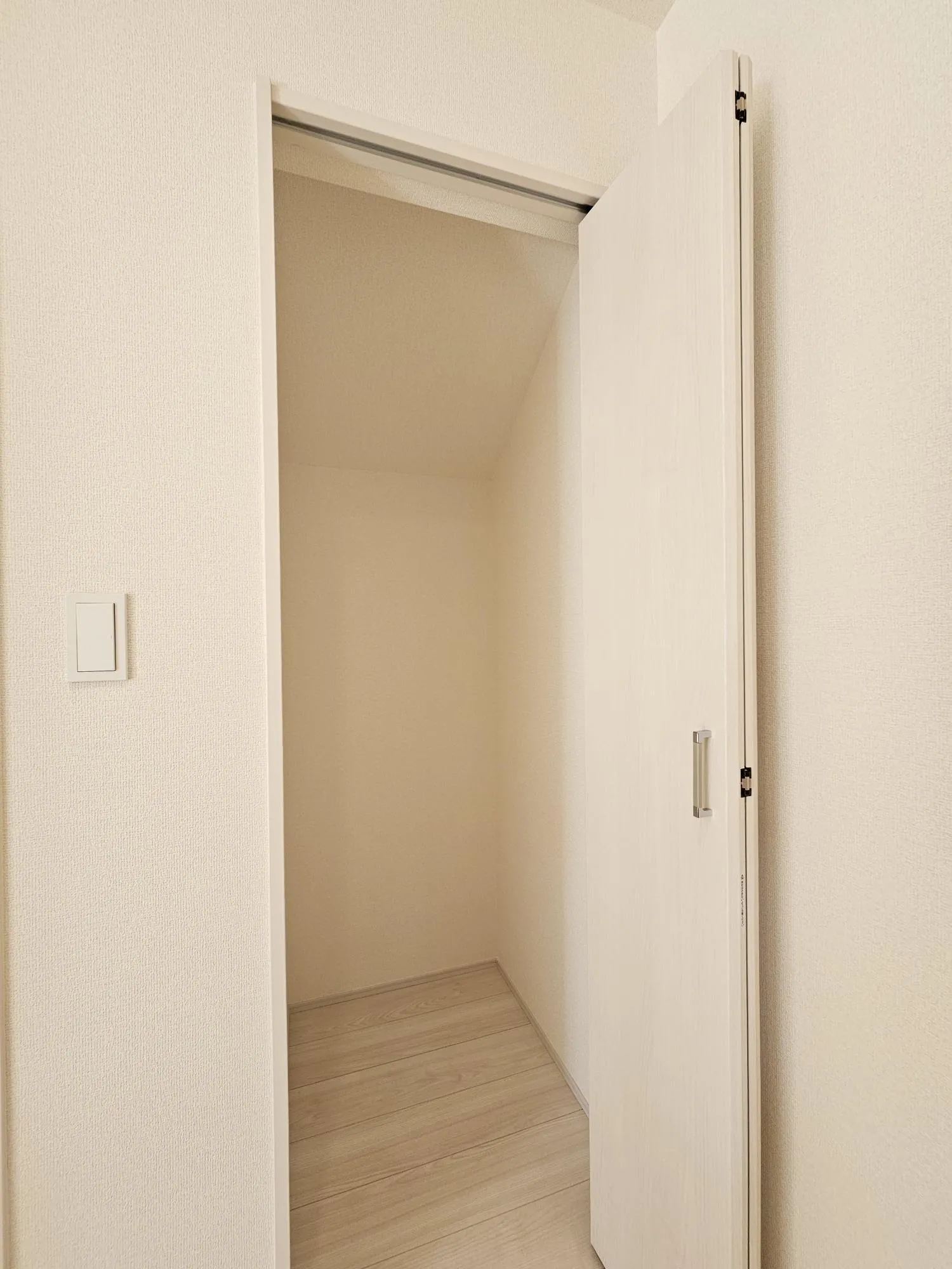 1号棟　LDK　収納②