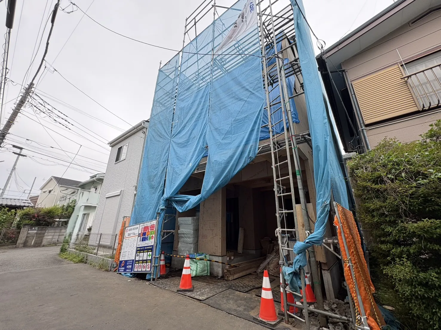 2026.5.23撮影