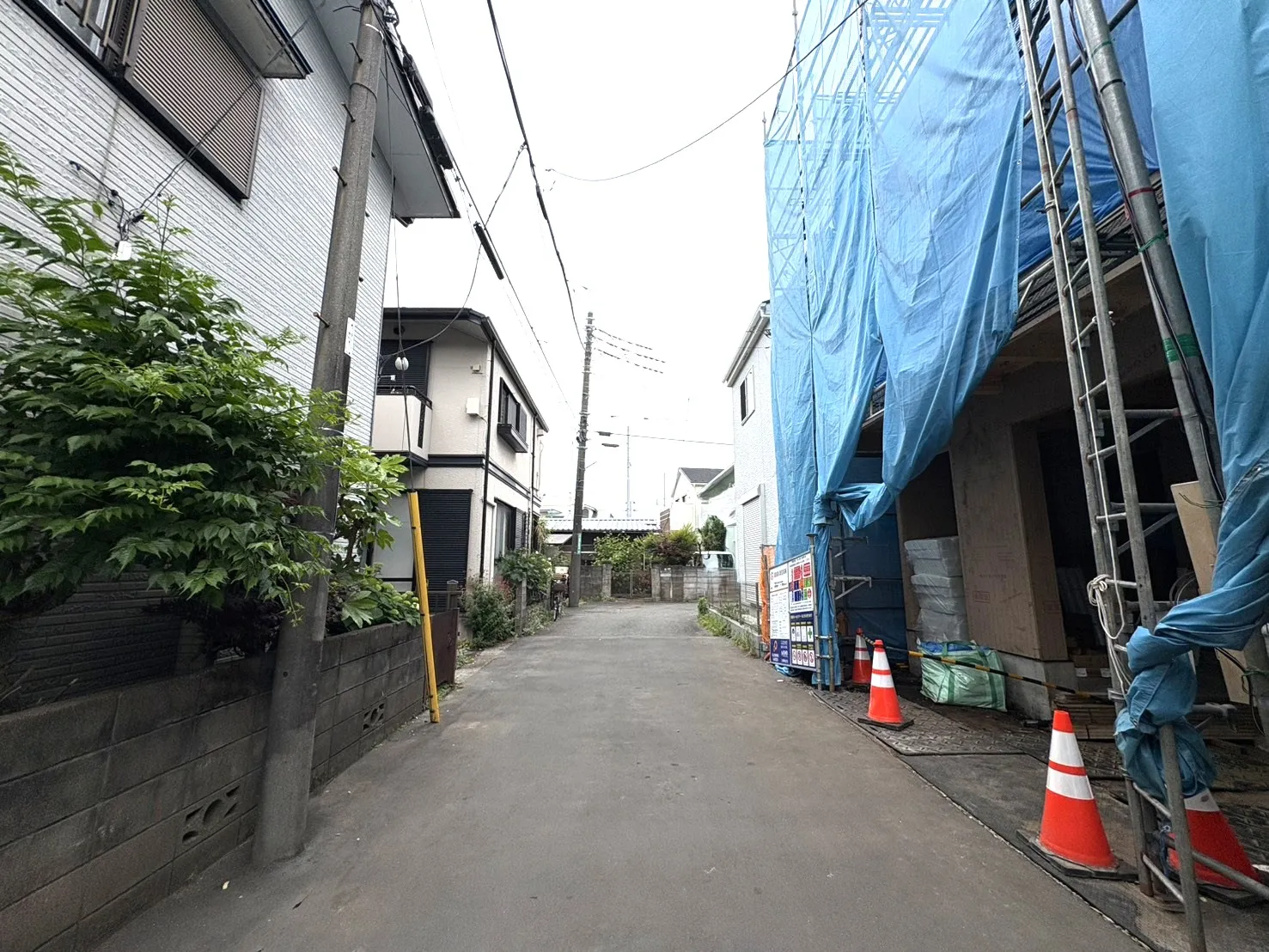 2026.5.23撮影
