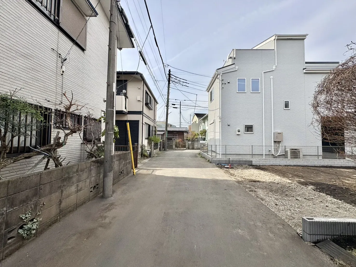 2026.3.23撮影