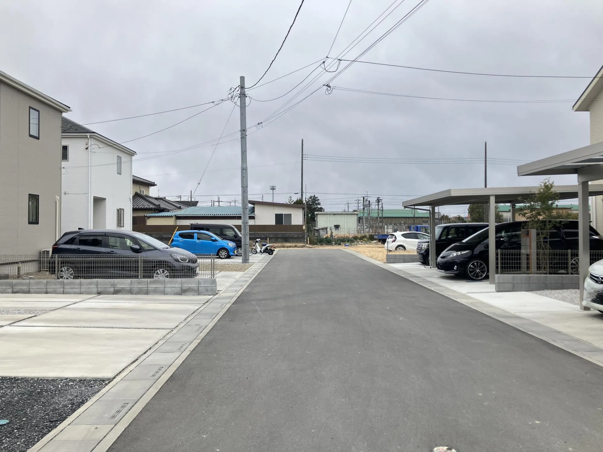 現地写真2026年2月撮影