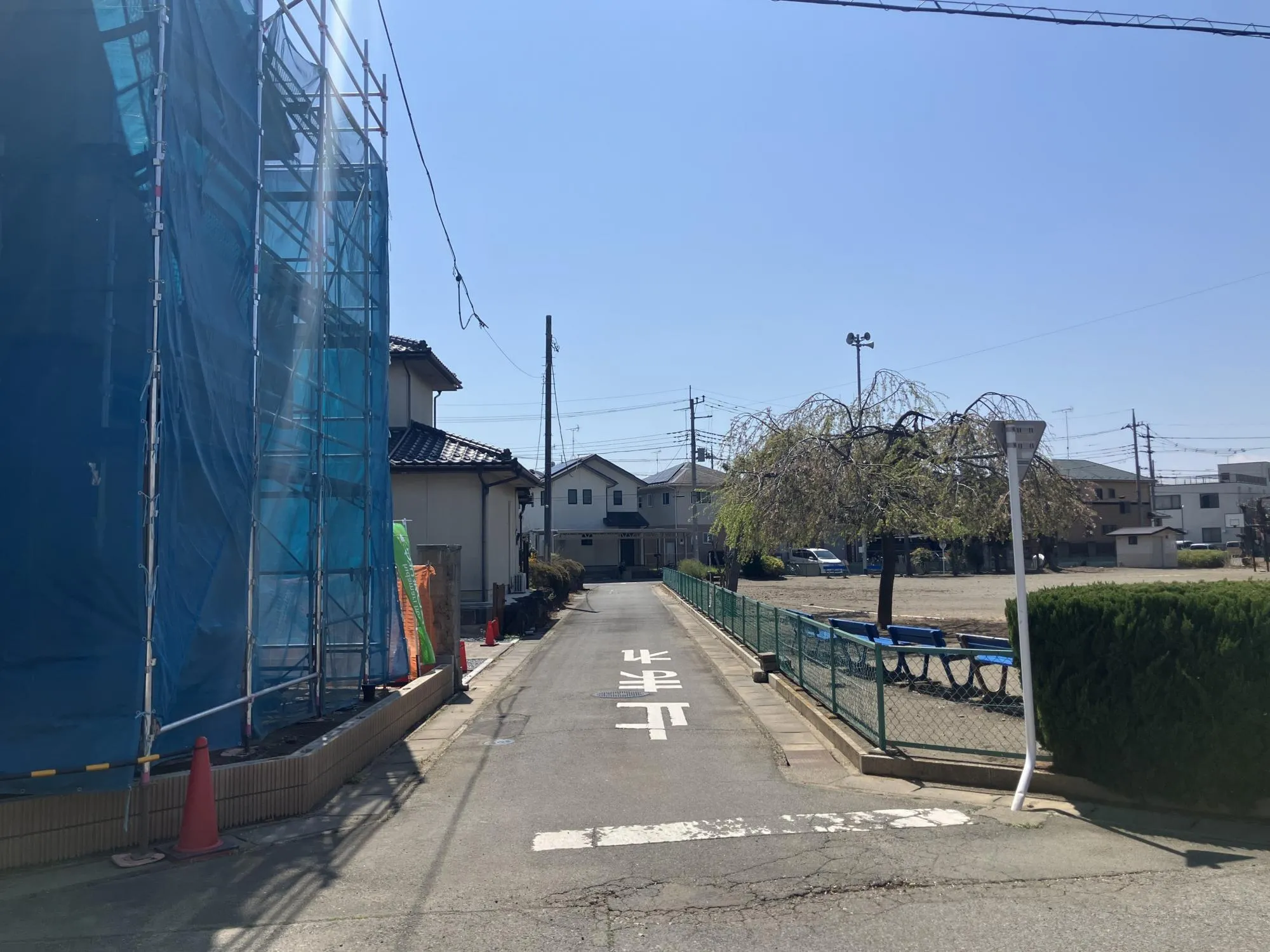 現地写真 4月撮影