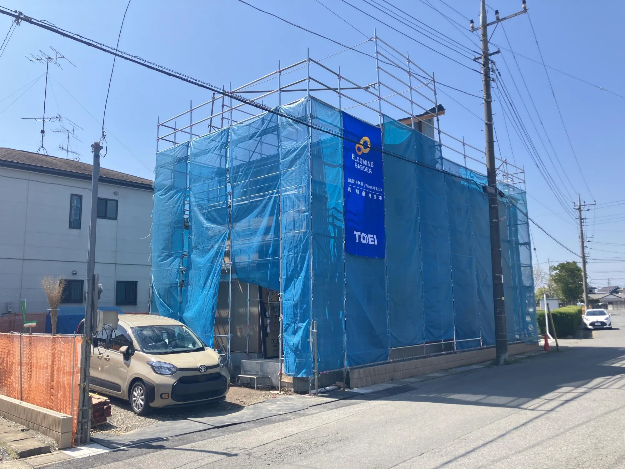 現地写真 4月撮影