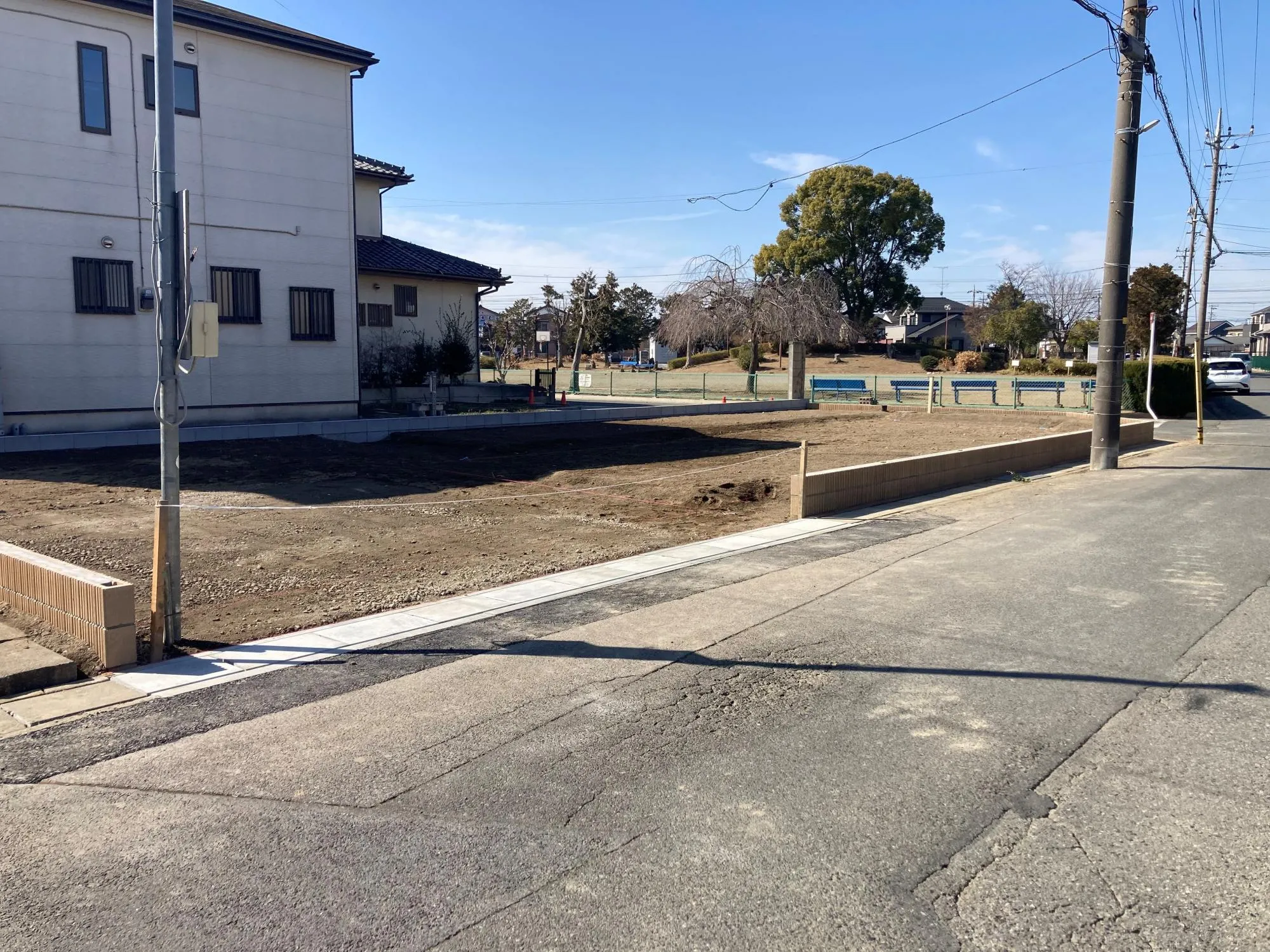 現地写真 2月撮影