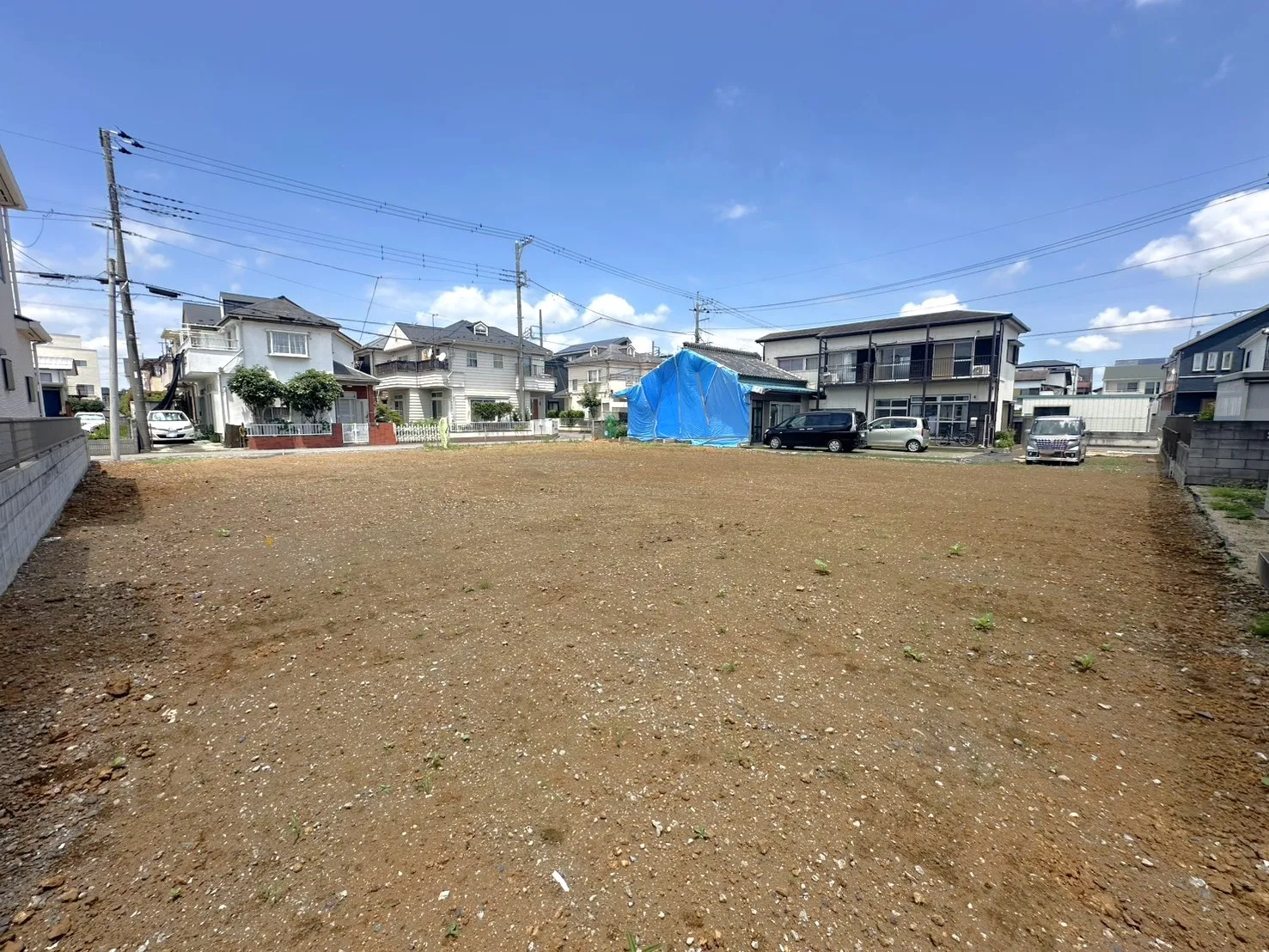 ◇現地写真