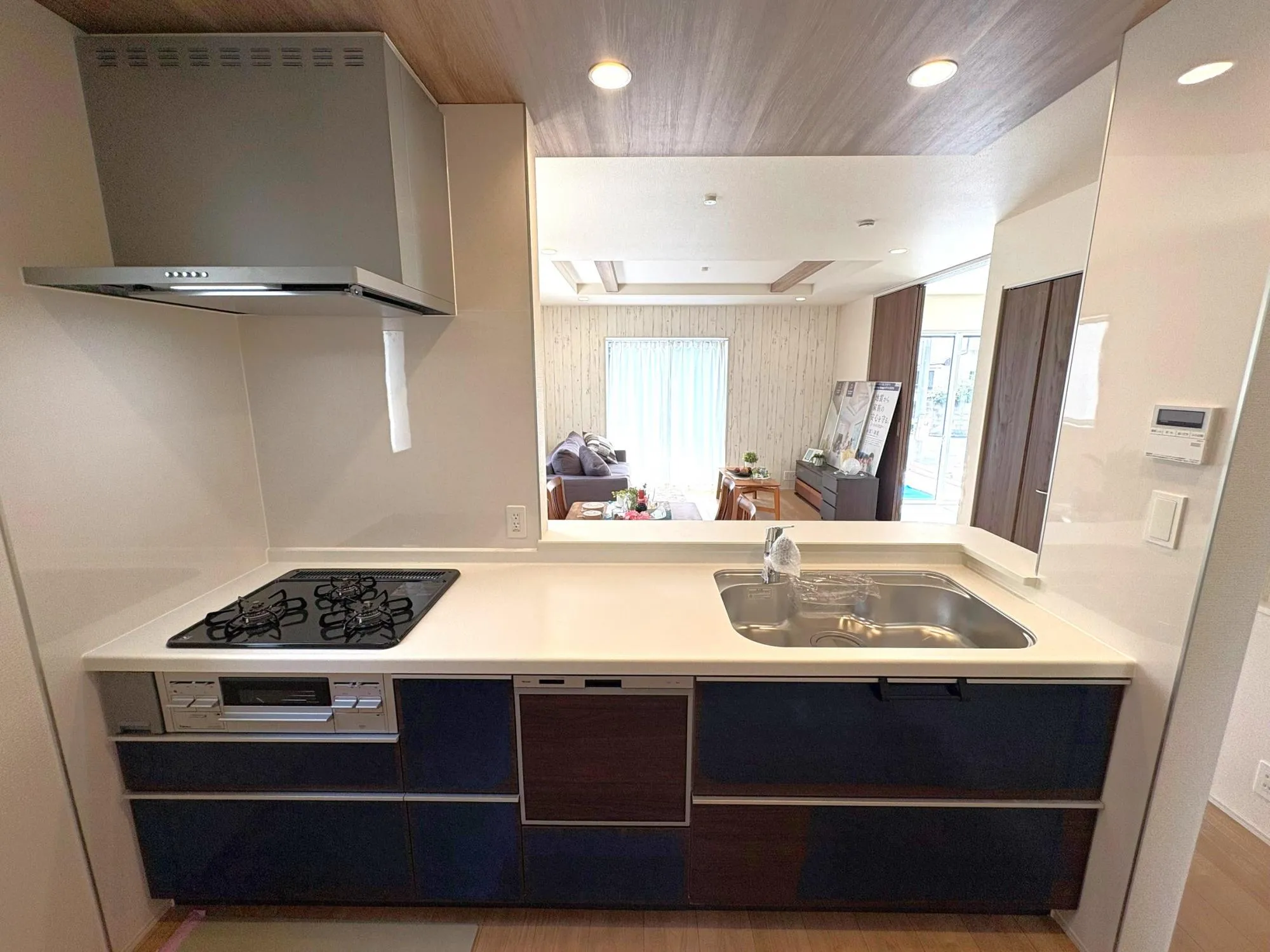 浄水器付システムキッチン