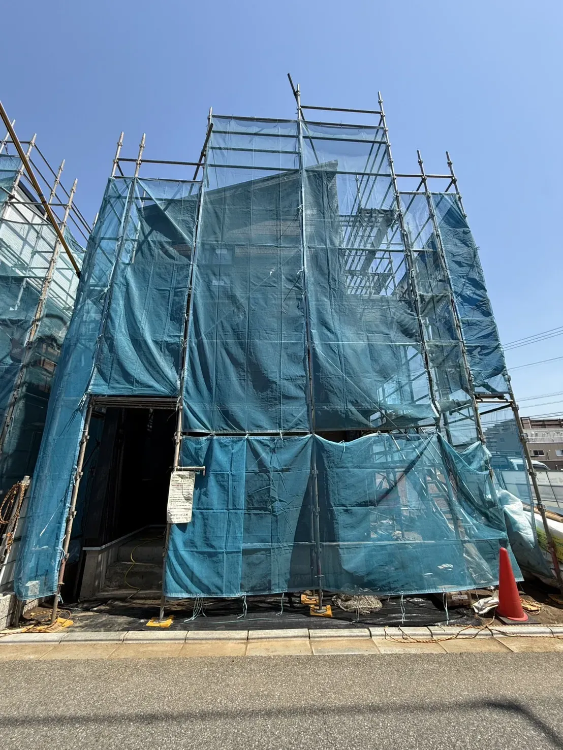5月中旬撮影