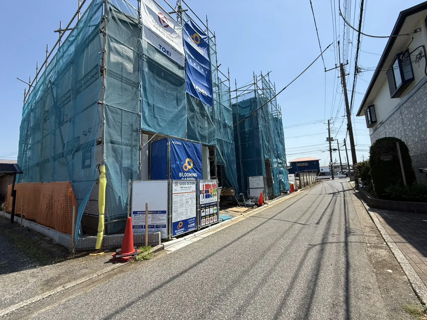 5月中旬撮影