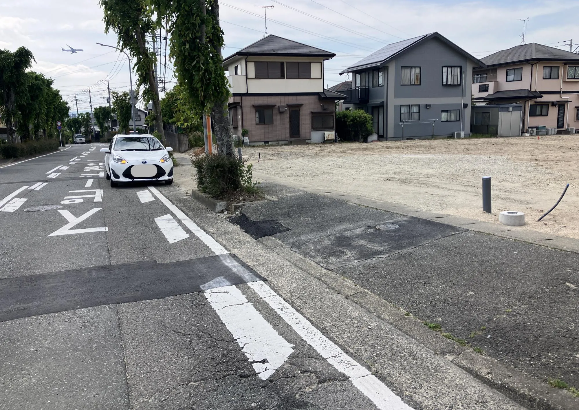 現地写真
