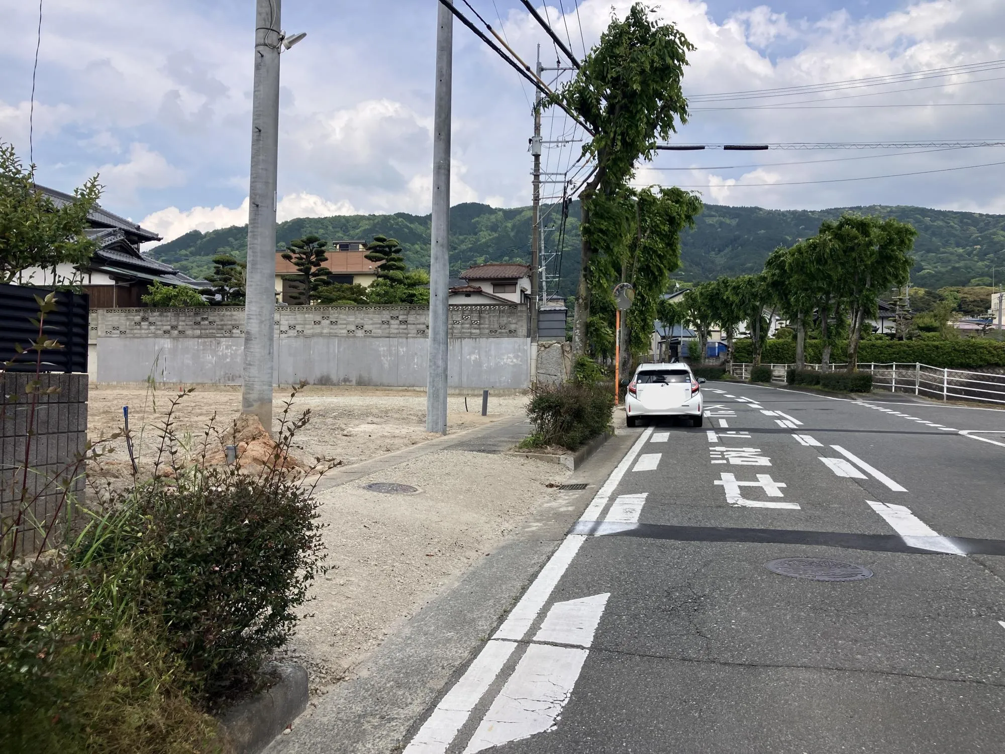 現地写真
