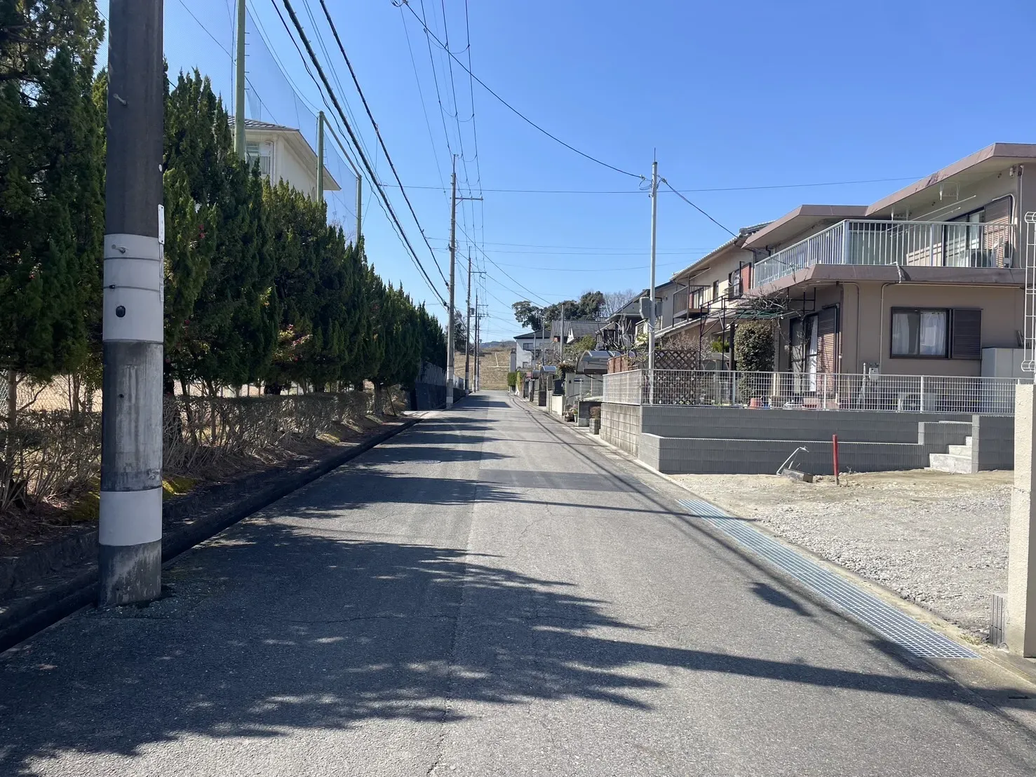 【販売現地】2026.3.12撮影