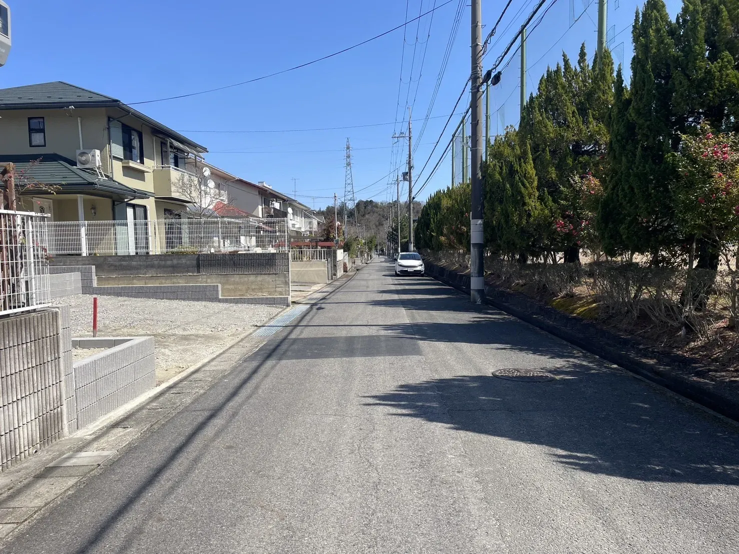 【販売現地】2026.3.12撮影