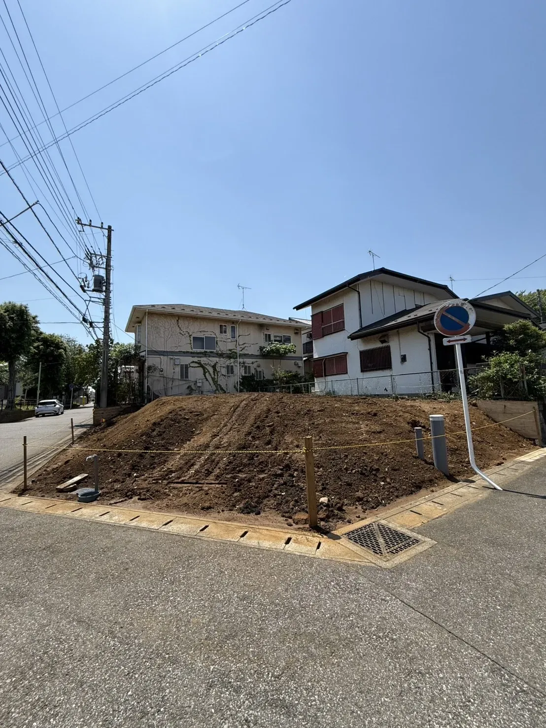 5月上旬撮影