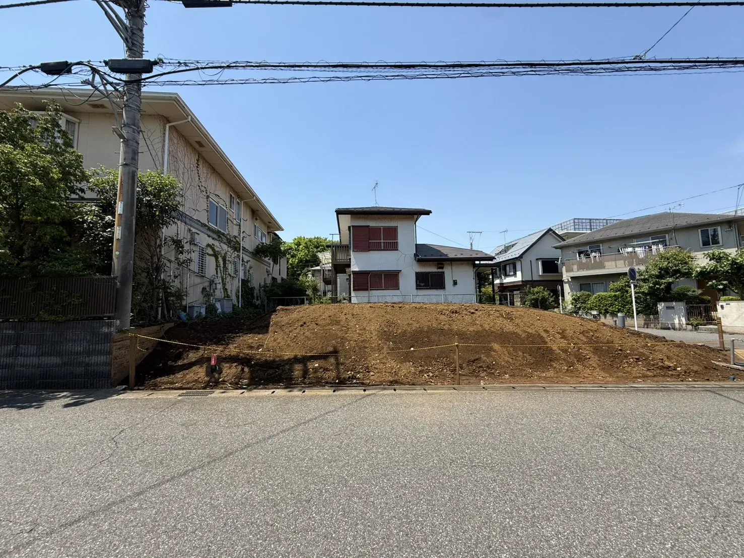5月上旬撮影