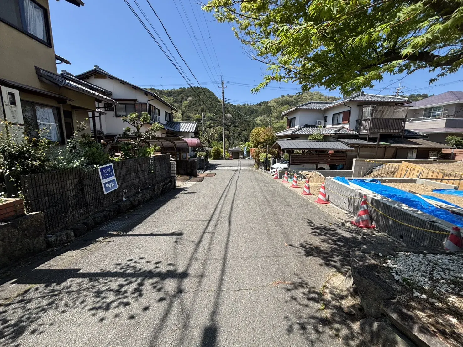 2026年4月撮影