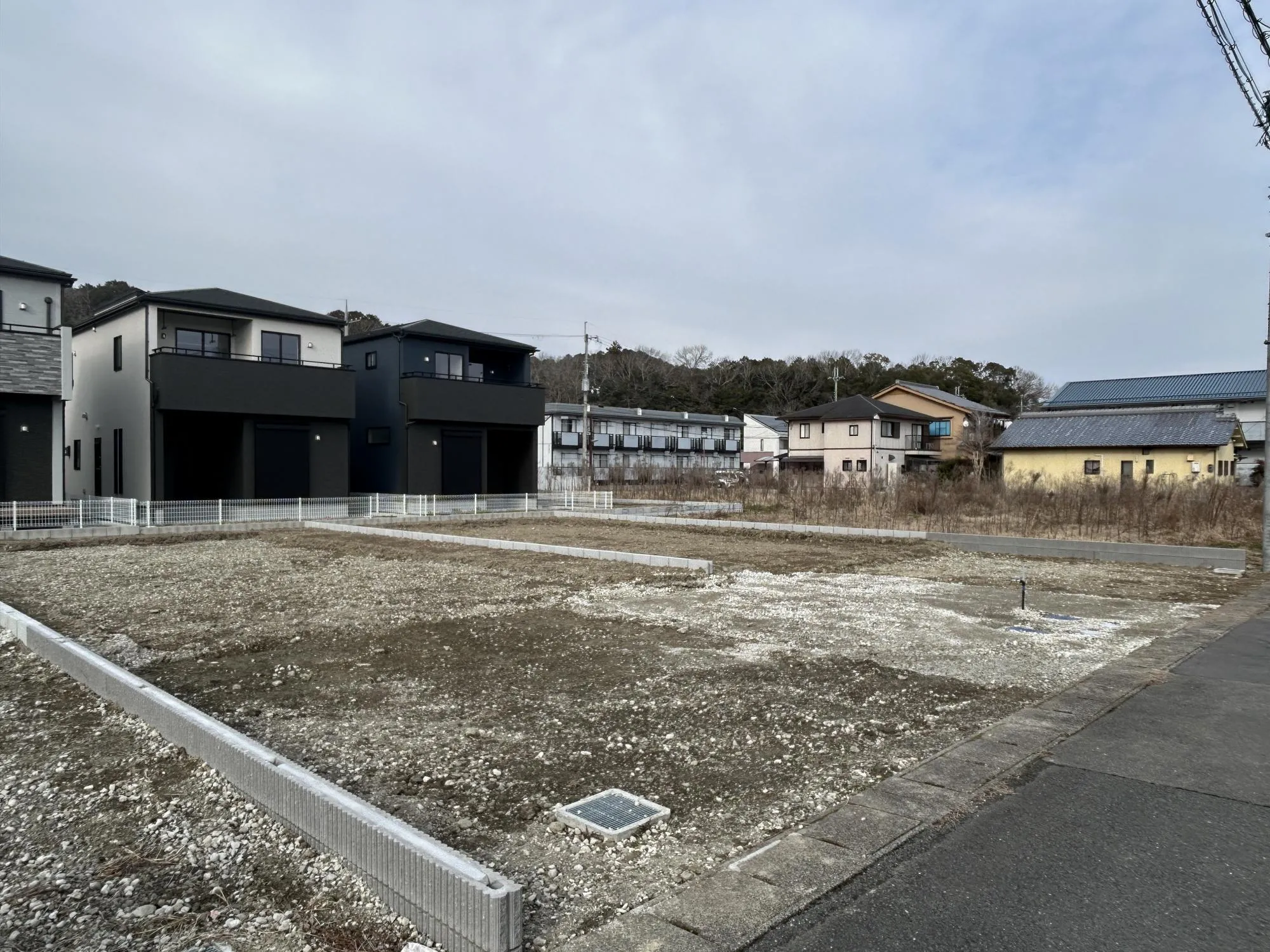 【販売現地】
2026.2.20撮影