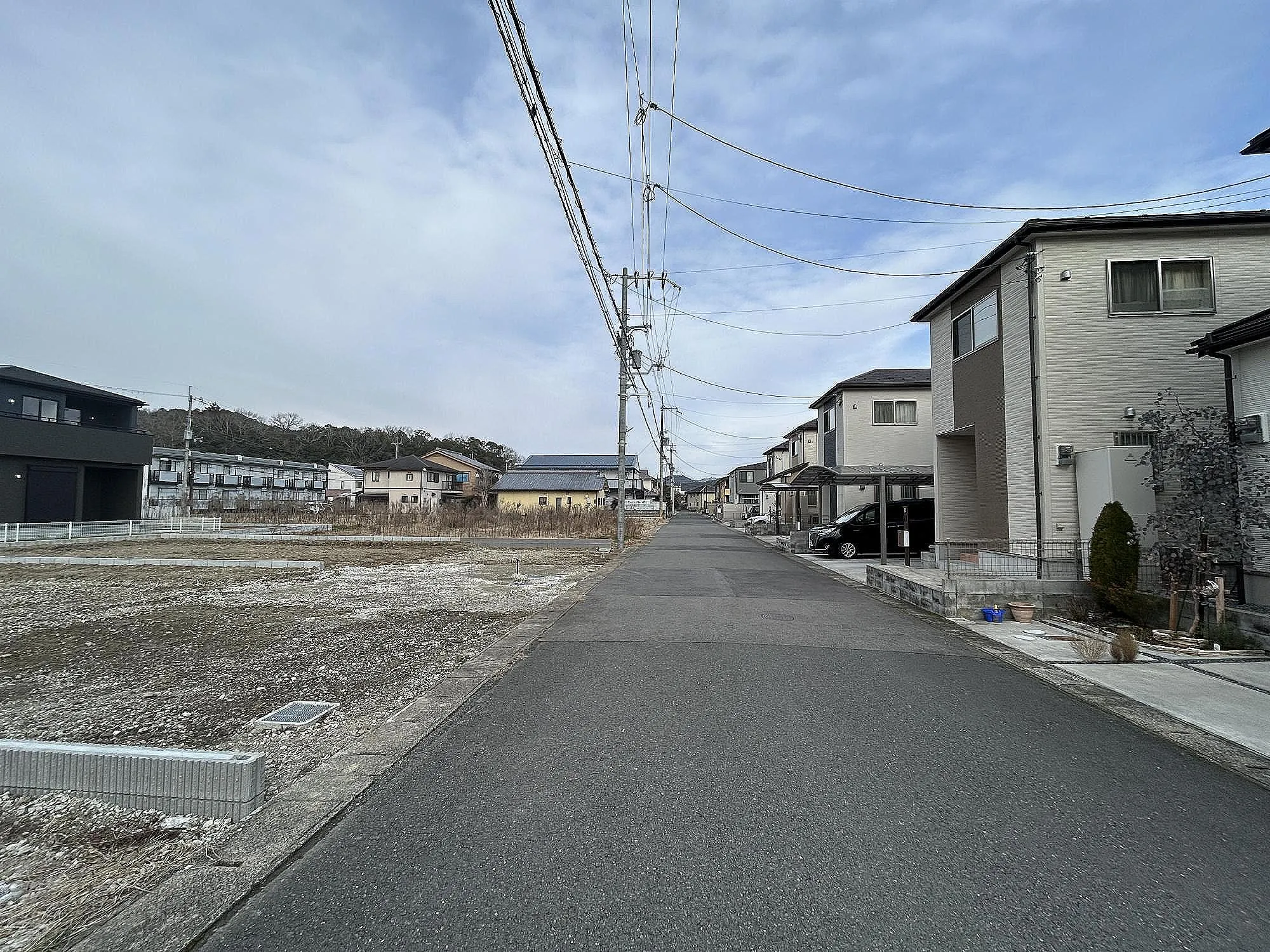 【販売現地】
2026.2.20撮影