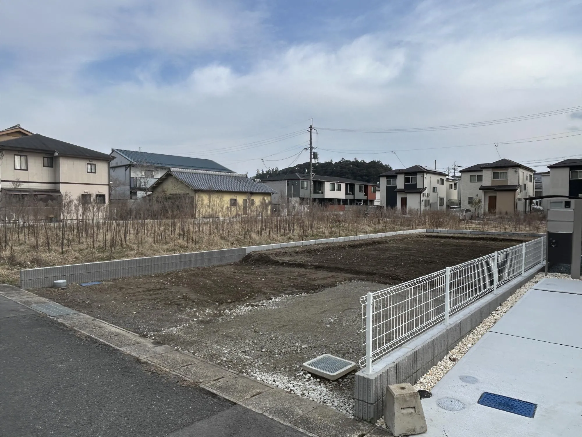 【販売現地】
2026.2.20撮影