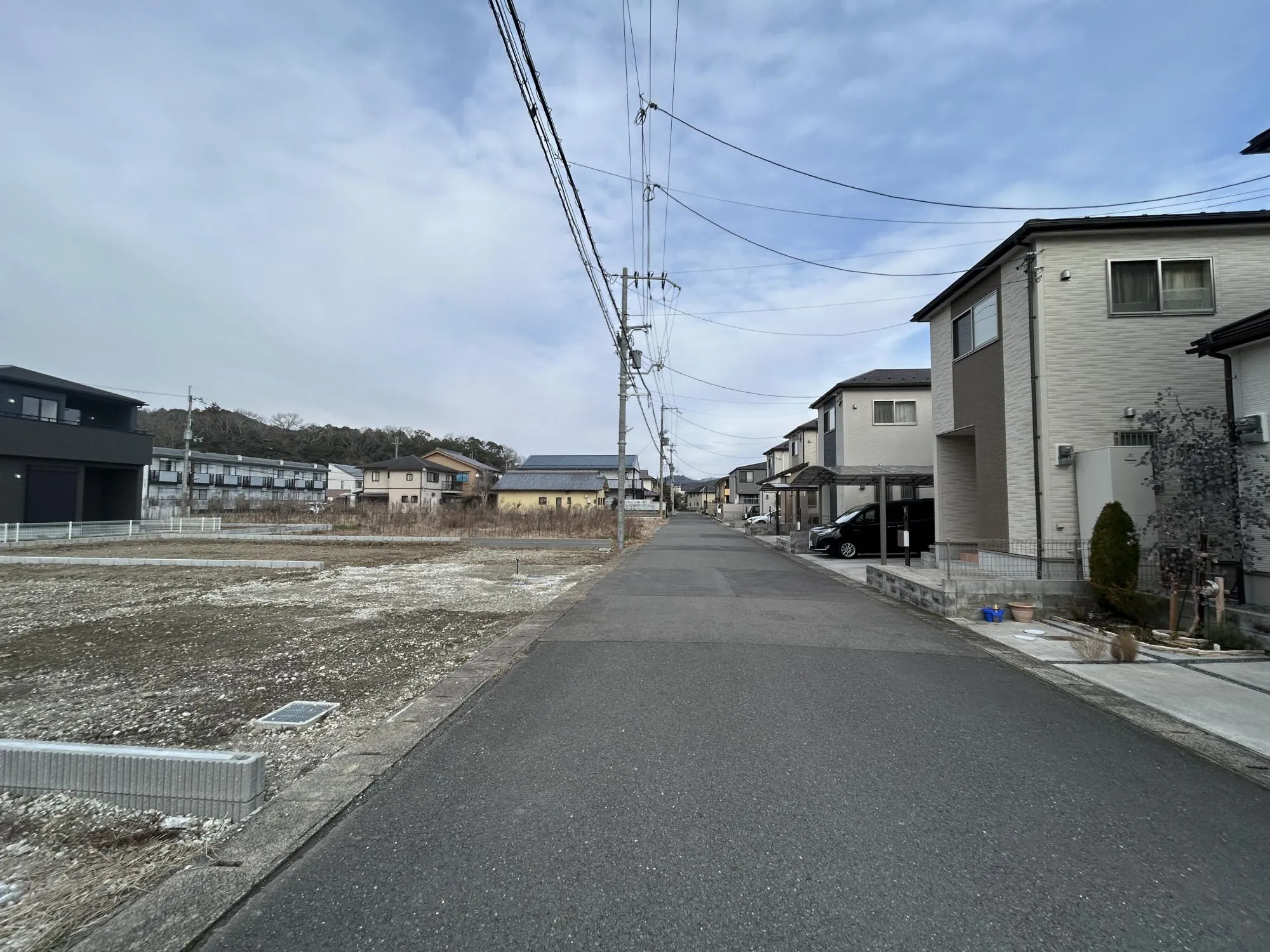 【販売現地】
2026.2.20撮影