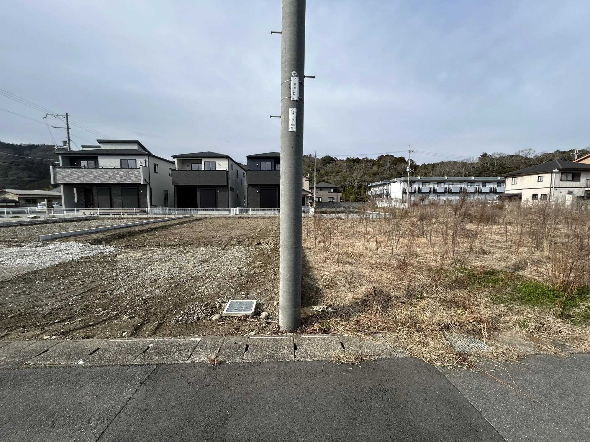 【販売現地】
2026.2.20撮影